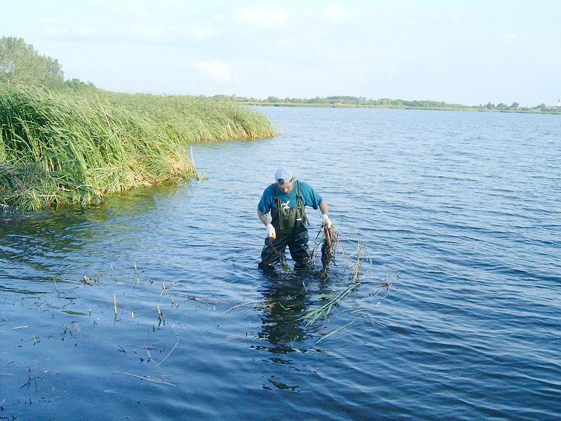 20120613 033.jpg